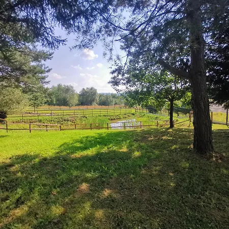 Lejlighed Srokowka *