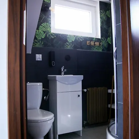 Appartement Srokowka *